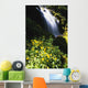 Proxy Falls Wall Mural