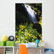 Proxy Falls Wall Mural