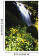 Proxy Falls Wall Mural
