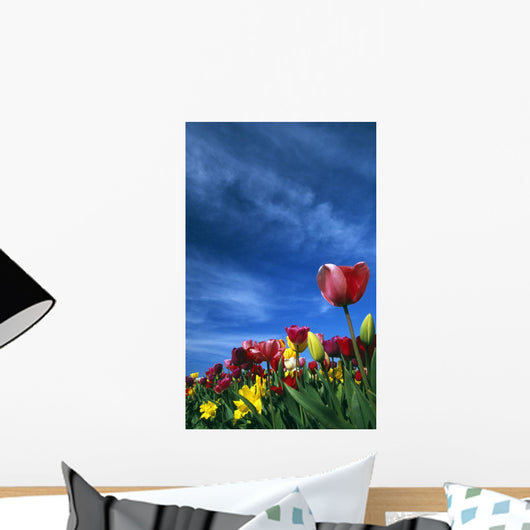 Tulips In Field Wall Mural