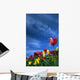 Tulips In Field Wall Mural