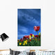 Tulips In Field Wall Mural