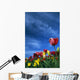 Tulips In Field Wall Mural