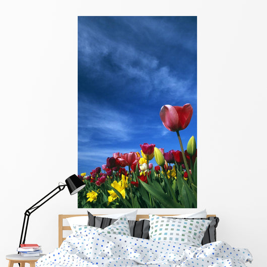 Tulips In Field Wall Mural