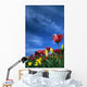 Tulips In Field Wall Mural