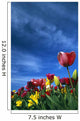 Tulips In Field Wall Mural