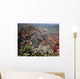 Spider Web With Dew Wall Mural