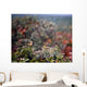 Spider Web With Dew Wall Mural