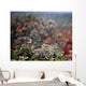 Spider Web With Dew Wall Mural