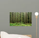Old Growth Forest Wall Mural