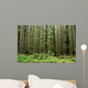 Old Growth Forest Wall Mural