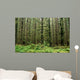 Old Growth Forest Wall Mural