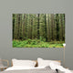 Old Growth Forest Wall Mural