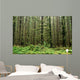 Old Growth Forest Wall Mural