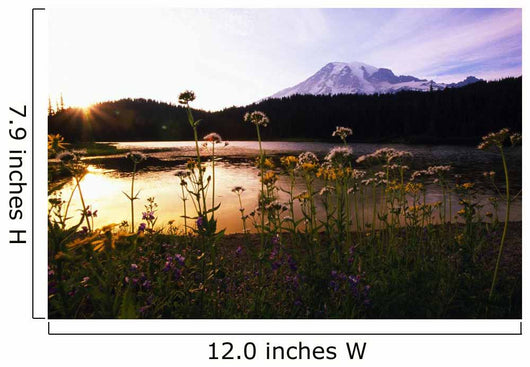 Reflection Lake With Mt Hood In The Distance, Washington Of America Wall Mural