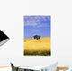Oak Tree In Wheat Field Wall Mural