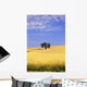 Oak Tree In Wheat Field Wall Mural