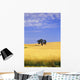 Oak Tree In Wheat Field Wall Mural