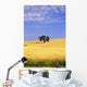 Oak Tree In Wheat Field Wall Mural