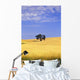 Oak Tree In Wheat Field Wall Mural