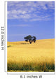 Oak Tree In Wheat Field Wall Mural