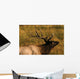 Bull Elk Wall Mural