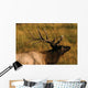 Bull Elk Wall Mural