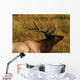 Bull Elk Wall Mural