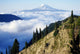 Mount Adams Above Cloud-Filled Valley, Washington Of America Wall Mural