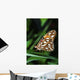 Gulf Fritillary Butterfly On A Leaf Wall Mural