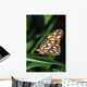 Gulf Fritillary Butterfly On A Leaf Wall Mural