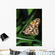 Gulf Fritillary Butterfly On A Leaf Wall Mural