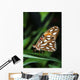 Gulf Fritillary Butterfly On A Leaf Wall Mural