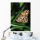 Gulf Fritillary Butterfly On A Leaf Wall Mural