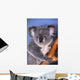Koala On Tree Branch Wall Mural