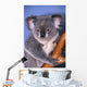 Koala On Tree Branch Wall Mural