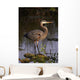 Great Blue Heron Wall Mural