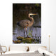 Great Blue Heron Wall Mural