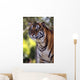 Bengal Tiger Wall Mural