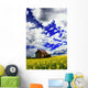 Abandoned Farmhouse In A Canola Field Wall Mural