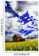 Abandoned Farmhouse In A Canola Field Wall Mural