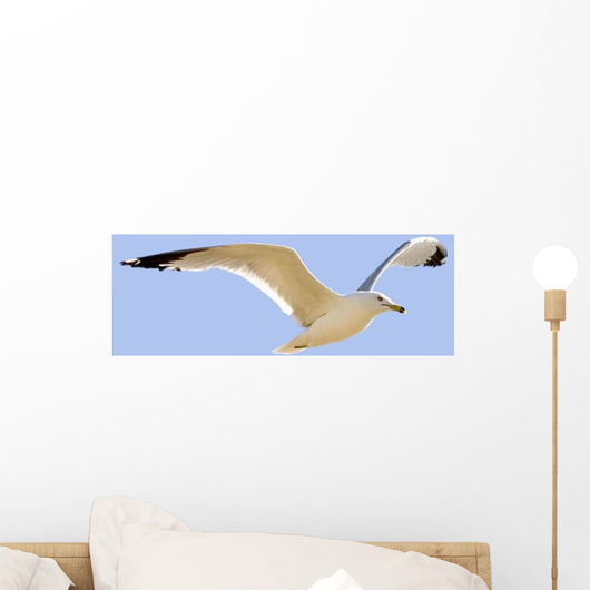 Seagull In Flight Wall Mural