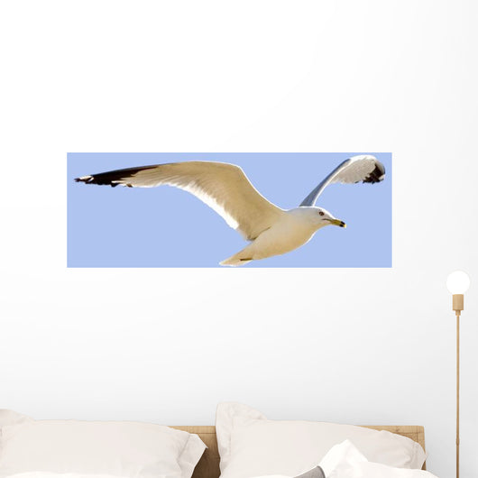 Seagull In Flight Wall Mural