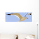 Seagull In Flight Wall Mural