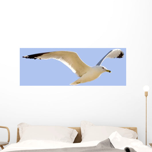 Seagull In Flight Wall Mural