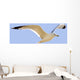 Seagull In Flight Wall Mural