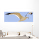 Seagull In Flight Wall Mural