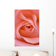 Close Up Of The Inside Of A Pink Rose Wall Mural