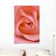 Close Up Of The Inside Of A Pink Rose Wall Mural