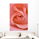 Close Up Of The Inside Of A Pink Rose Wall Mural